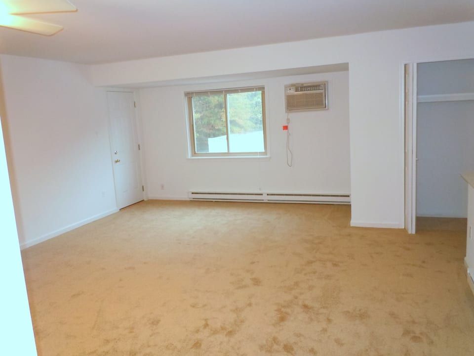 Spacious bedroom
